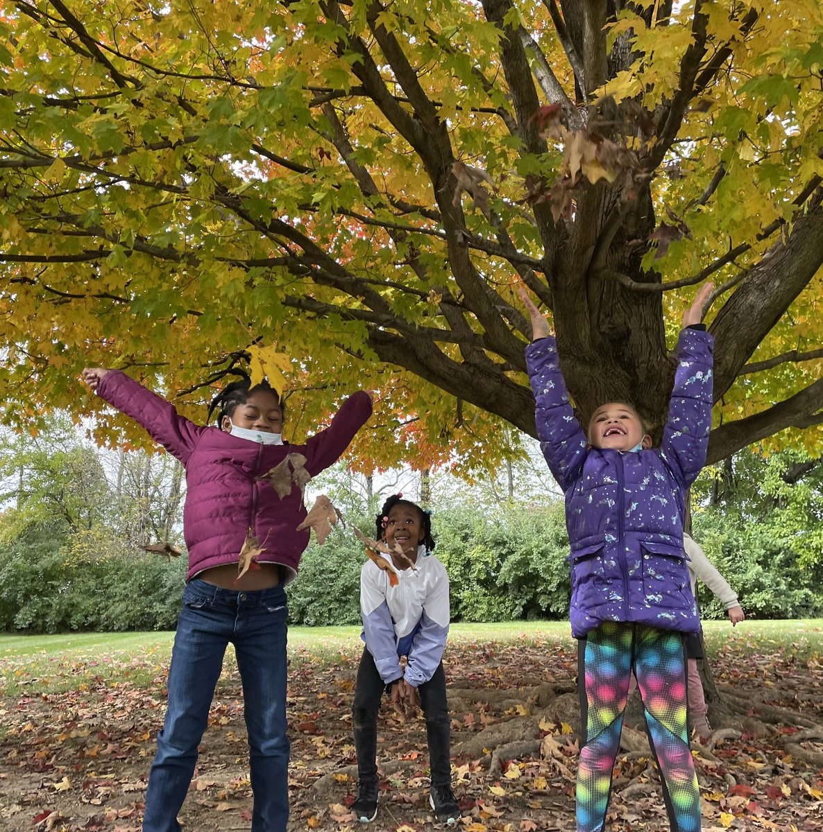 MissCarrGrade1's tweet photo. First grade is loving the beautiful fall foliage on campus! 🍂 #onlyatic #icallthetime #ic2122 https://t.co/LAwokfrVEl