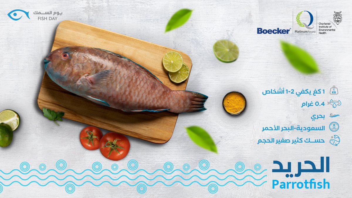 fishday_ksa's tweet image. تدري أن الحريد يسمى سمك الببغاء لأنه يتميز بشكل أسنانه
بس ما ننسى أن طعمه مميز وتقدر تقدمه مقلي أو مشوي
احصل عليه الآن طازج من يوم السمك وعطنا رايك فيه
#يوم_السمك #الرياض