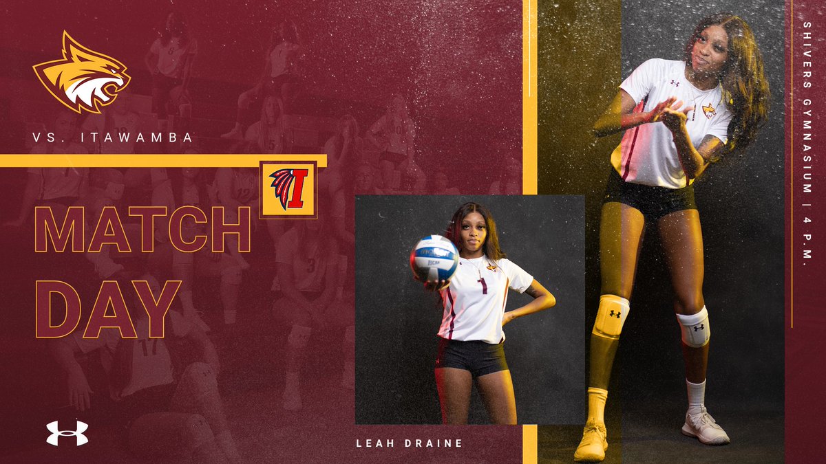 PRCCAthletics's tweet photo. It's our favorite season: the postseason!

Come out and support your Wildcats in their first ever home playoff game!

🆚Itawamba
📍Shivers Gymnasium
⏰4 p.m.
🏆Region 23 Championship
🎟https://t.co/U8iMv7426i
🖥https://t.co/g6s41btDZ8
🐾#RRR 
🏐#WEAREW1LDCATS https://t.co/y4UWmH1Ctw