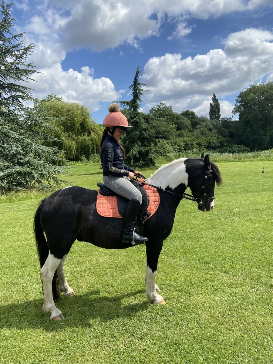 KerrieGibbons's tweet photo. #hardwork #Perseverance #whatadifference #twoyears #superproud #firstpony #ponylove
How it started vs How it’s going… https://t.co/FAYd9tSVdj