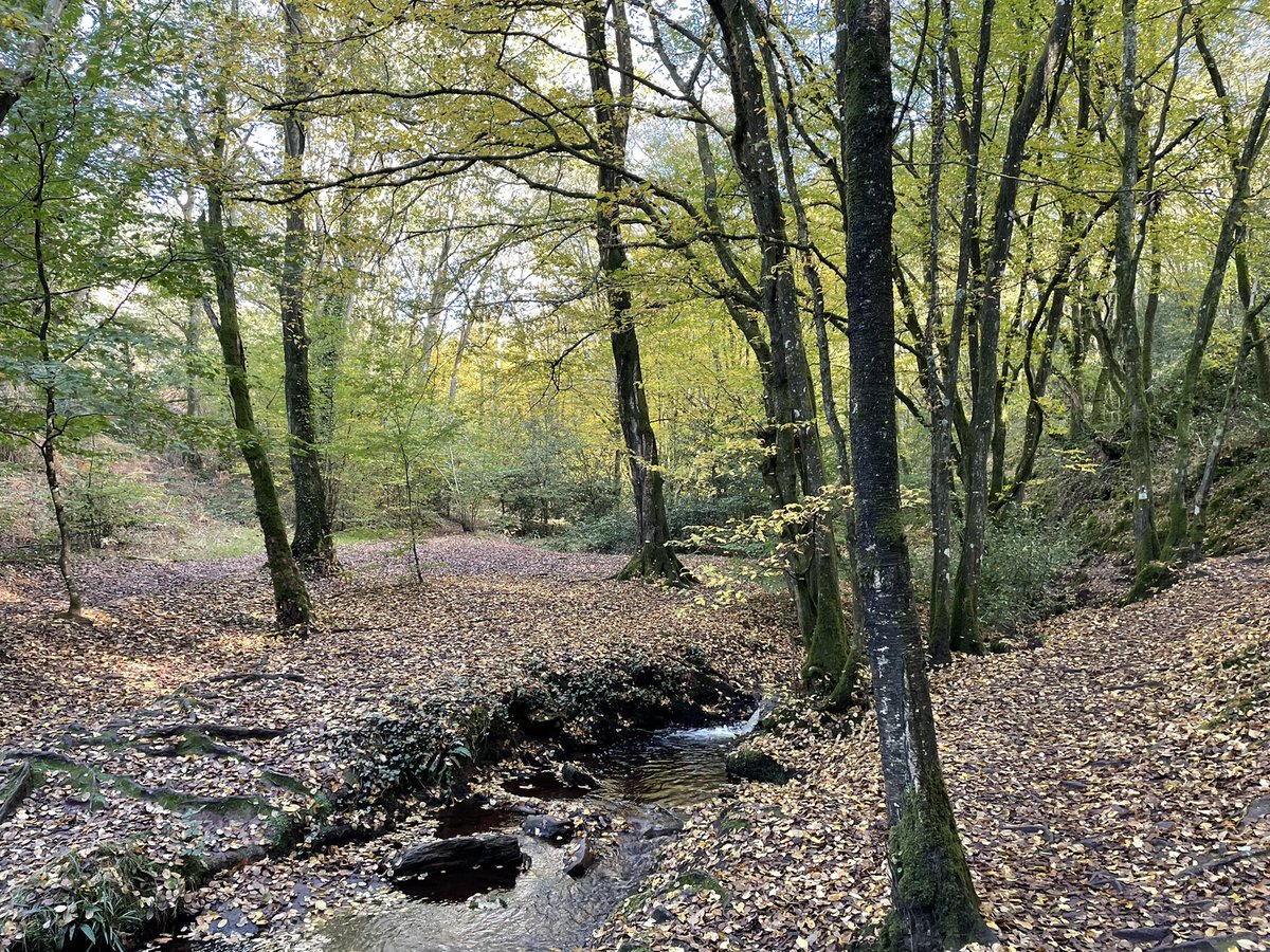 CharlesAslangul's tweet photo. « L’enracinement est peut être le besoin le plus important et le plus méconnu de l’âme humaine ». #Breizh #Bretagne https://t.co/LOnKRMlpjK