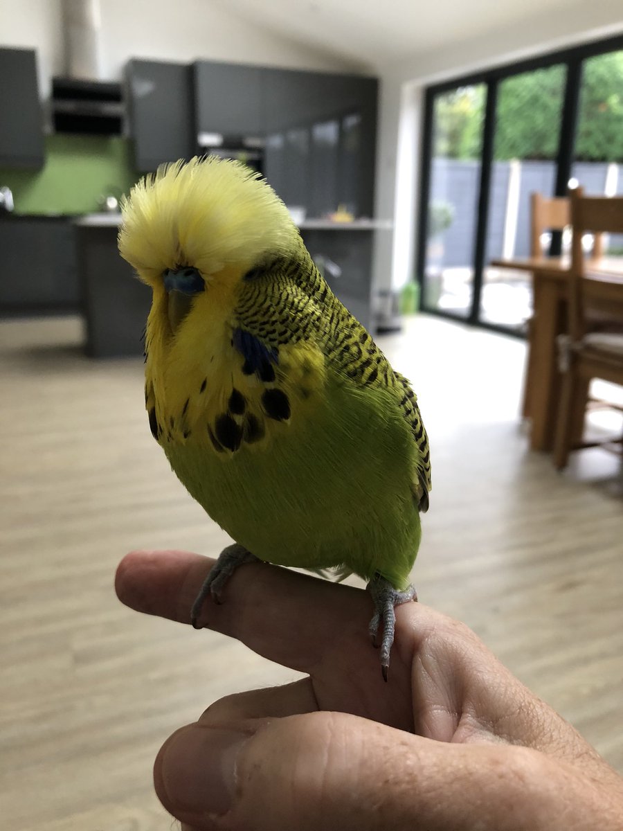 Stewart Bint tweet media