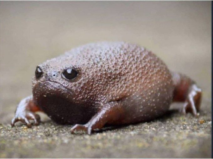 وقتی پشمای تخمت رو زدی ولی دوست دخترت قرار رو کنسل می&zwnj;کنه :)))))))) https://t.co/F47Epsdkus<a href="/tag/mood"class="tags"><span>#mood</span></a><a href="/tag/iran"class="tags"><span>#iran</span></a><a href="/tag/nipple"class="tags"><span>#nipple</span></a><a href="/tag/%D8%A7%DB%8C%D8%B1%D8%A7%D9%86"class="tags"><span>#ایران</span></a><a href="/tag/%D9%84%D9%8A%D8%B2"class="tags"><span>#ليز</span></a><a href="/tag/%D9%85%D9%85%D9%87"class="tags"><span>#ممه</span></a><a href="/tag/%D9%86%D9%88%D8%AF"class="tags"><span>#نود</span></a>