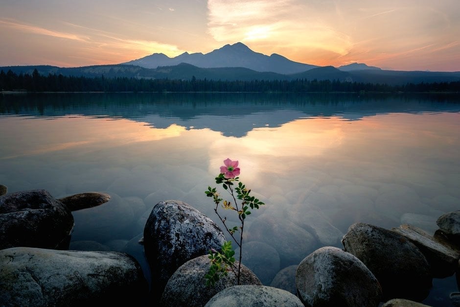 mastercraft_man's tweet image. ایک بیج بغیر آواز کے اگتا ہے، لیکن ایک درخت بڑے شور کے ساتھ گرتا ہے۔  تباہی کا شور ہے، لیکن تخلیق خاموش ہے۔  یہ خاموشی کی طاقت ہے۔  خاموشی سے بڑھیں۔ #unknown