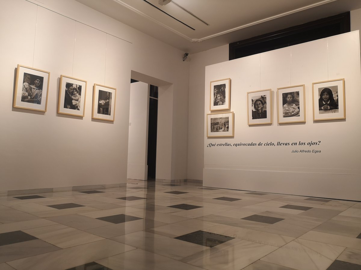 MuseoArteAlm's tweet photo. 📷Miradas de niños. Carlos #PérezSiquier / #JulioAlfredoEgea (Planta 1)

👉🏼Seguimos en el @MuseoArteAlm #Espacio2 (frente Estación Intermodal): 

🖼 Brumas perdidas. Acuarelas de Juan Antonio Maldonado (#SalaPerceval)

#ExpoMiradas #ExpoBrumas https://t.co/tHG67tpZfY