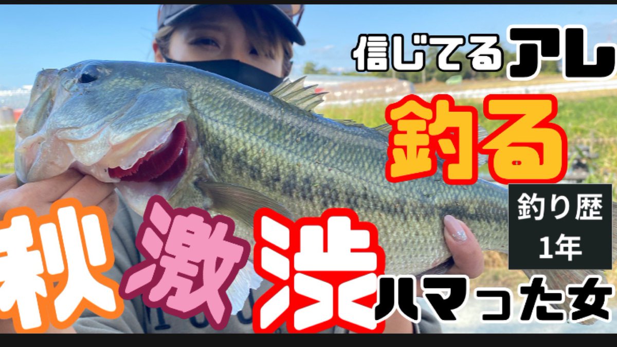 DfamBs's tweet photo. バ秋バスの溜まり場発見‼️YouTubeUPしています✨👀釣り歴1年ですがよろしくお願いいたします🙇💦
よかったらチャンネル登録���ろしくお願いいたします☺️#バス釣り
#クリークバス釣り #釣り女 #福岡バス釣り #YouTube https://t.co/DSqV0ypKKP