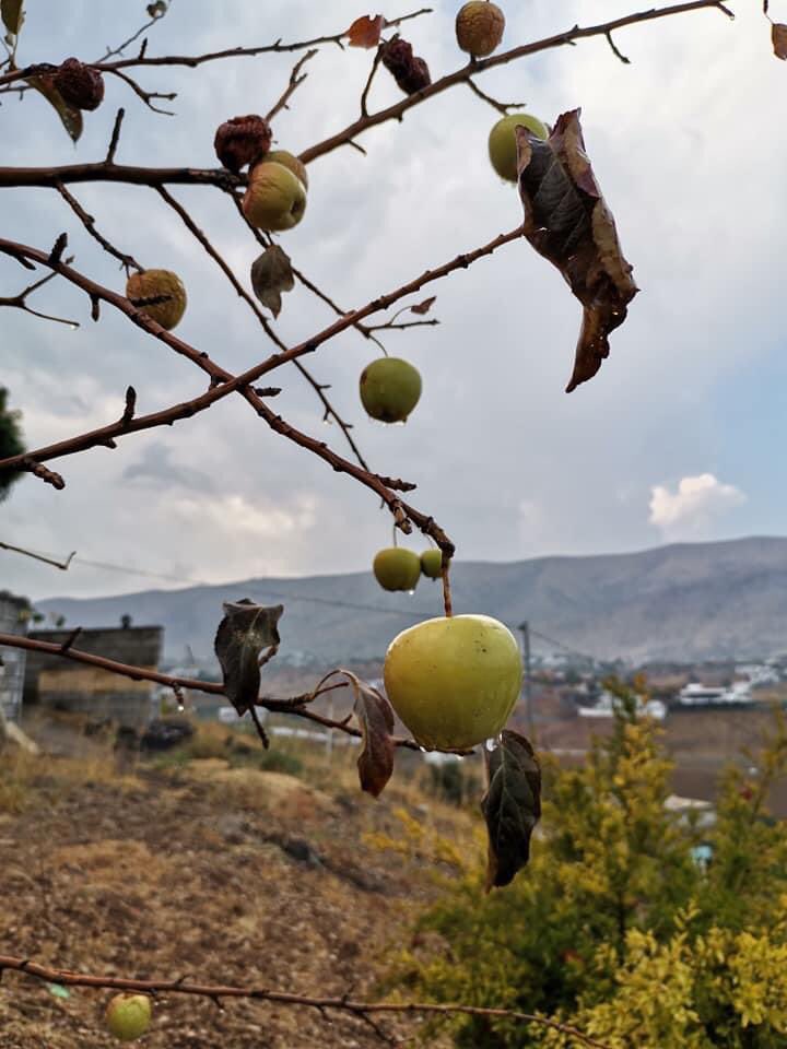 VAANvanA's tweet photo. جەوی جوان دەستی پێ کردەوە .❤️
#sitak https://t.co/ErX0il4kAn