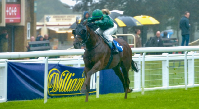 Majestic Dawn (Dawn Approach ex Jolie Chanson) teams up with Oisin Murphy in the 888Sport What's Your Thinking James Seymour Stakes (Listed Race) (3.33 pm). Majestic Dawn, winner of the 2020 Cambridgeshire here &amp; winner last time out, is fit &amp; races over 1m2f at Newmarket.