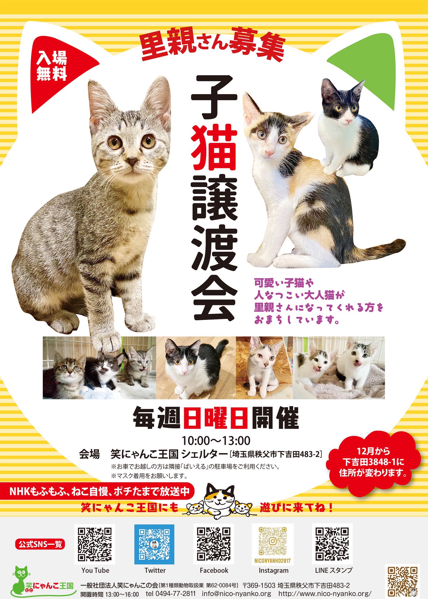 笑にゃんこ王国 毎週日曜日に 保護猫譲渡会 を開催しています 場所 笑にゃんこ王国 時間 10時 13時 入場無料です 予約不要です 下記のブログでは 里親様を募集している子猫達をリストアップしています 里親希望の方はご確認下さい 笑にゃんこ王国 毎週日曜日に 保護猫譲渡会 を開催しています 場所 笑にゃんこ王国 時間 10時 13時 入場無料です 予約不要です 下記のブログでは 里親様を募集している子猫達をリストアップしています 里親希望の方はご確認下さい
