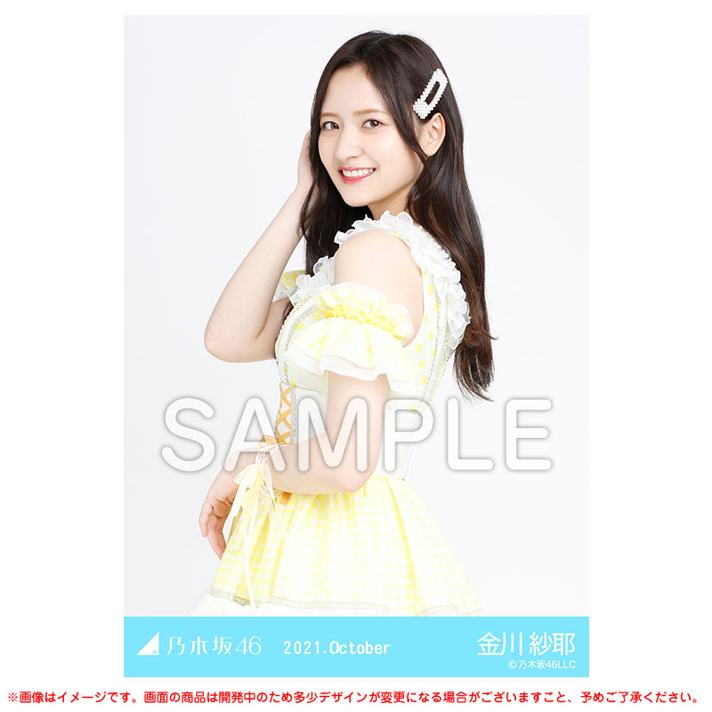 乃木坂46 生写真 スペシャル衣装33 フルコンプ 易けれ 乃木坂46 生写真 スペシャル衣装33 フルコンプ 易けれ