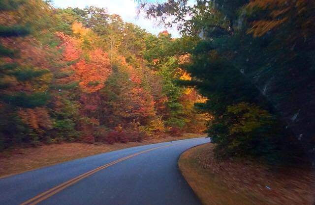 Visions of color...... 💚💛🧡♥️

#nature #SaturdayVibes  #autumnleaves