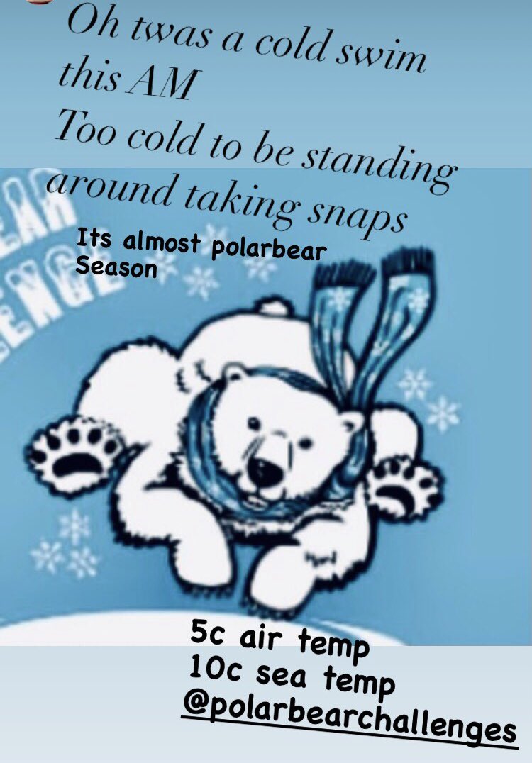 saveouroceans4's tweet photo. Oh twas a cold swim this am more due to the 5c air temp than the 10c sea temp. Polarbear season starts on nov 1st . Best of luck to all the bears and penguins doing #polarbearchallenges https://t.co/v3met05paJ