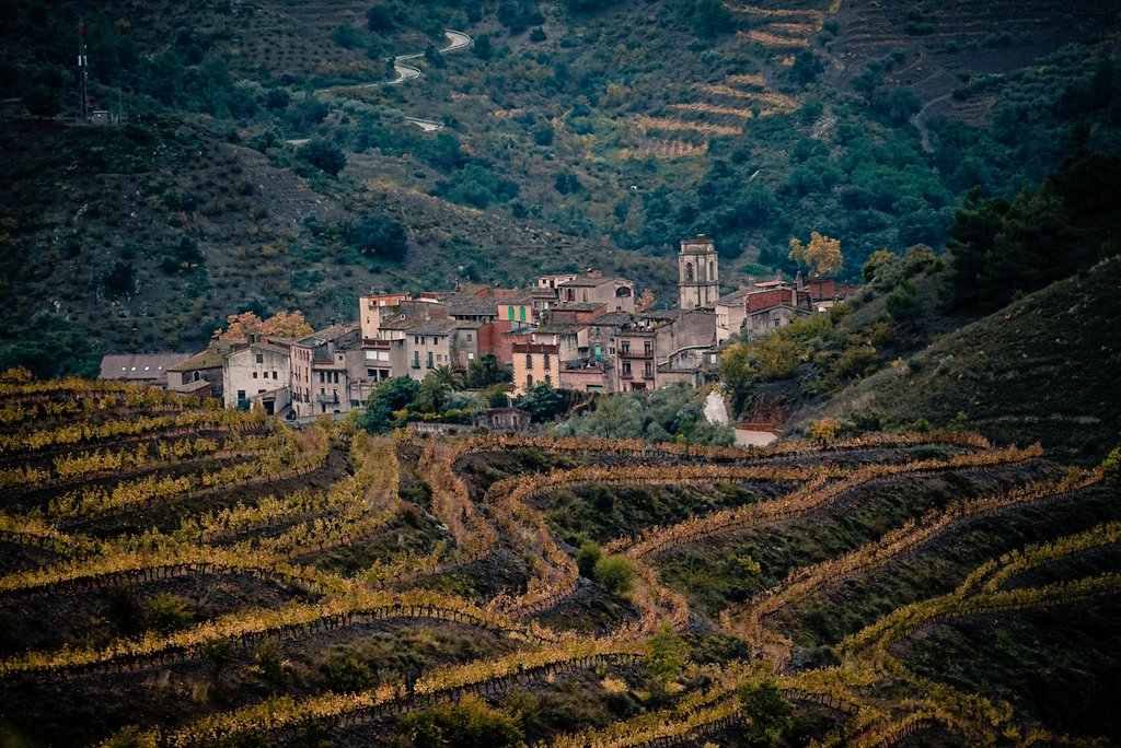 El Priorat a la tardor és 😍
