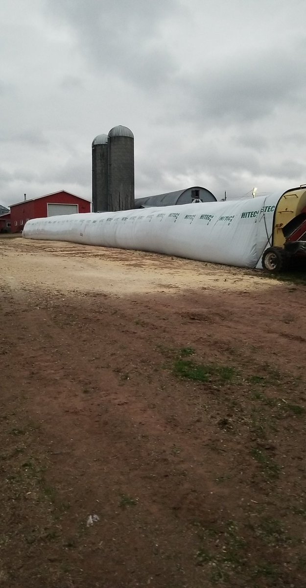 MScottMacDonald's tweet photo. Our corn silage yield was up 36% this year which gave us the chance to leave a couple fields for earlage. Big thanks to @GilbertMatheson for getting it off for us. https://t.co/u2pi8XiJKH