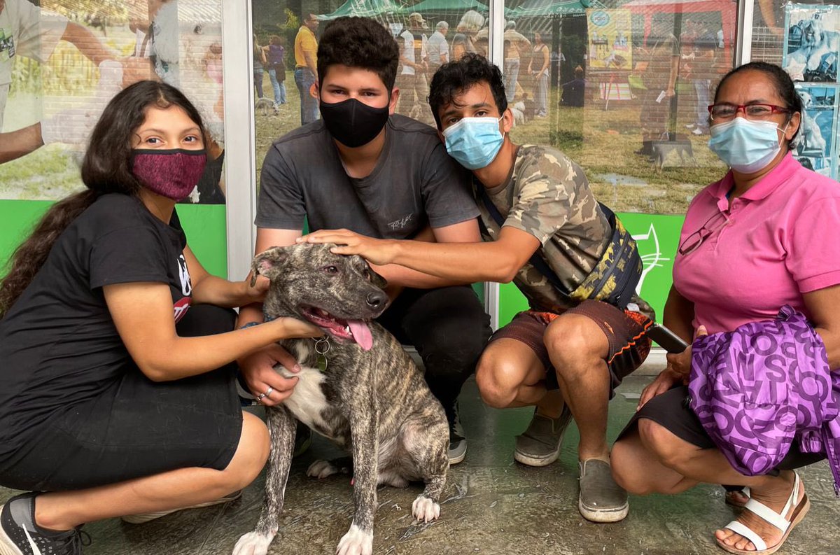 Ya está con su familia el peludo de la #Trinidad en Caracas 💓💓 La importancia de resguardar y luego difundir Salva Vidas y logramos finales felices… Gracias🙏🏻🐾