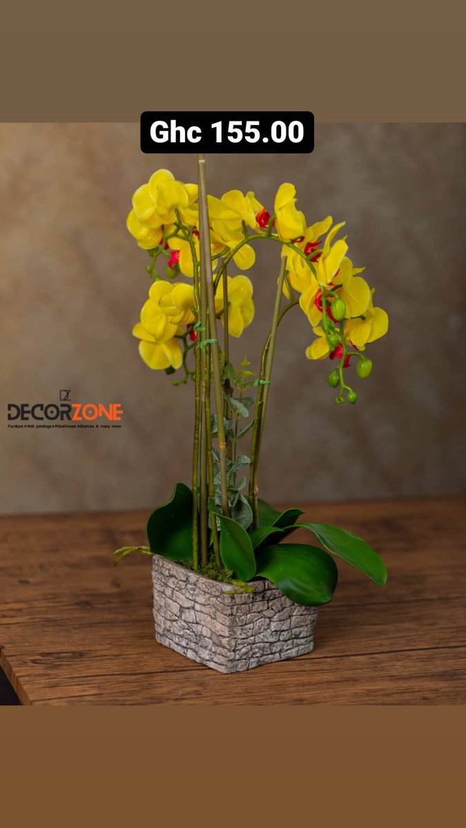 decorzonegh's tweet photo. https://t.co/D18mgQ1Owq
