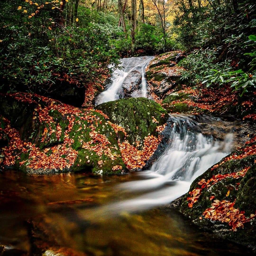 Plunge in......💚🍂

#nature #waterfalls