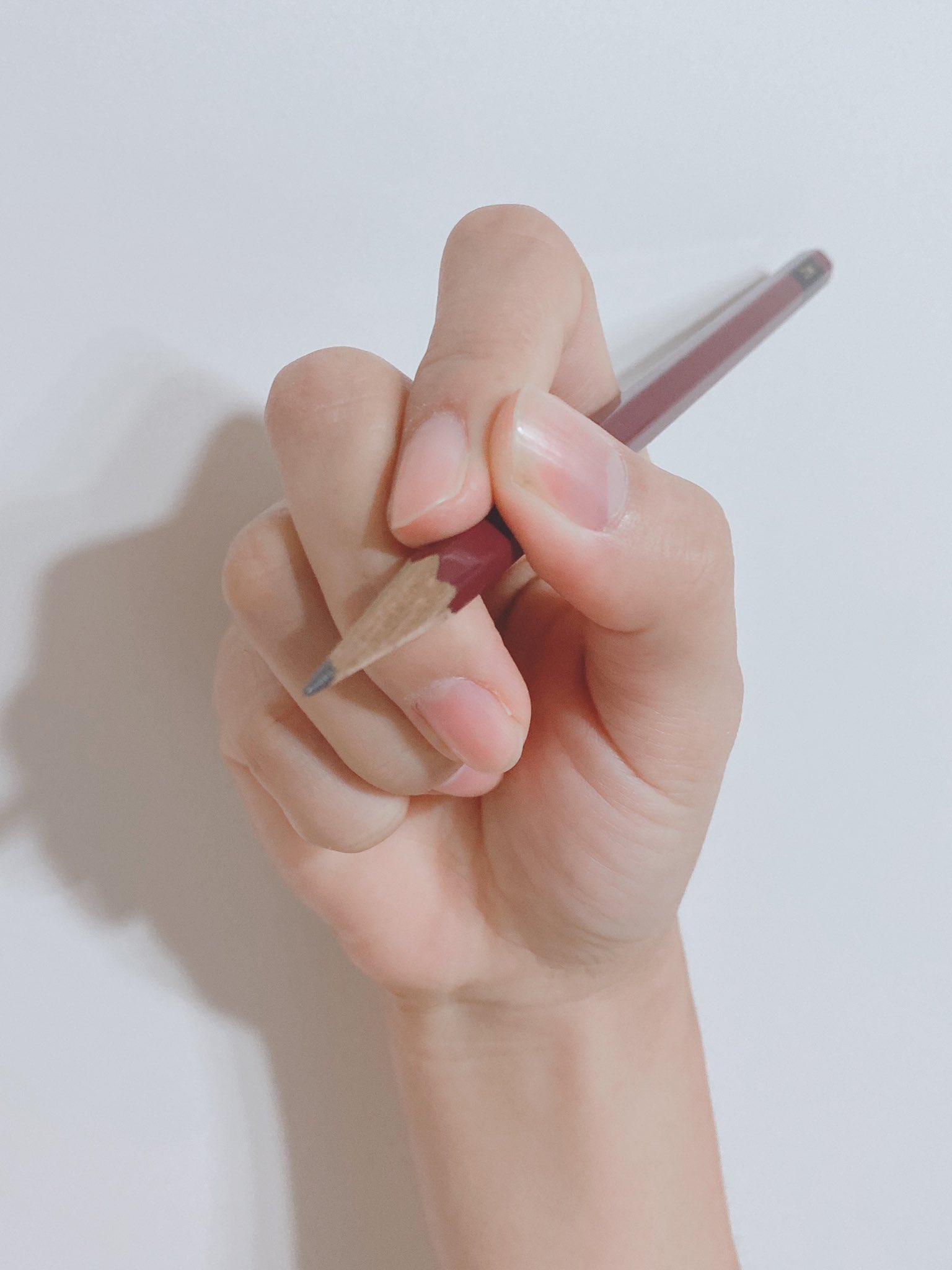 手クロッキー Modelhand Twitter