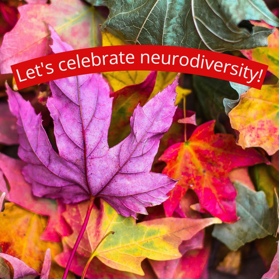geniuswithinCIC's tweet photo. Celebrating Neurodiversity at its finest:
#InclusionProject
#MostInclusiveEducationProvider
#CommunityChoiceAward
#MostInclusiveEmployer
#NDResearchOfTheYear
#StereotypeBusterAward
#NDAchieverAward
#BestAssistiveTech
Get nominating here: https://t.co/pYT5K5EpOy https://t.co/SHJ8S5ZPZU