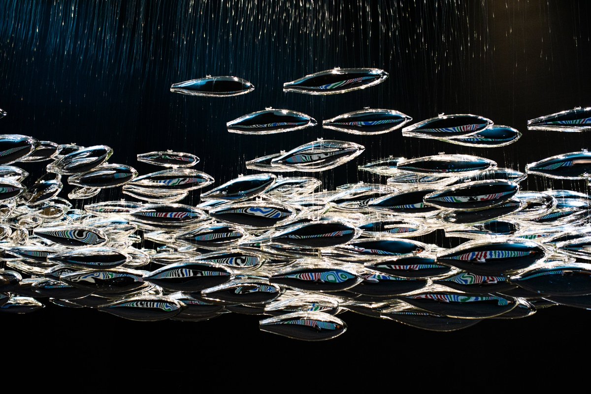 If we strip away different agendas at #COP26Glasgow and focus on #biodiversity element, 1 thing we can all agree is that #atlanticsalmon are in crisis. This sculpture #salmonschool hangs in the delegates' dining room to nudge them thanks to <a href="/SalmonAlliance/">Missing Salmon Alliance</a>. Please support. RT