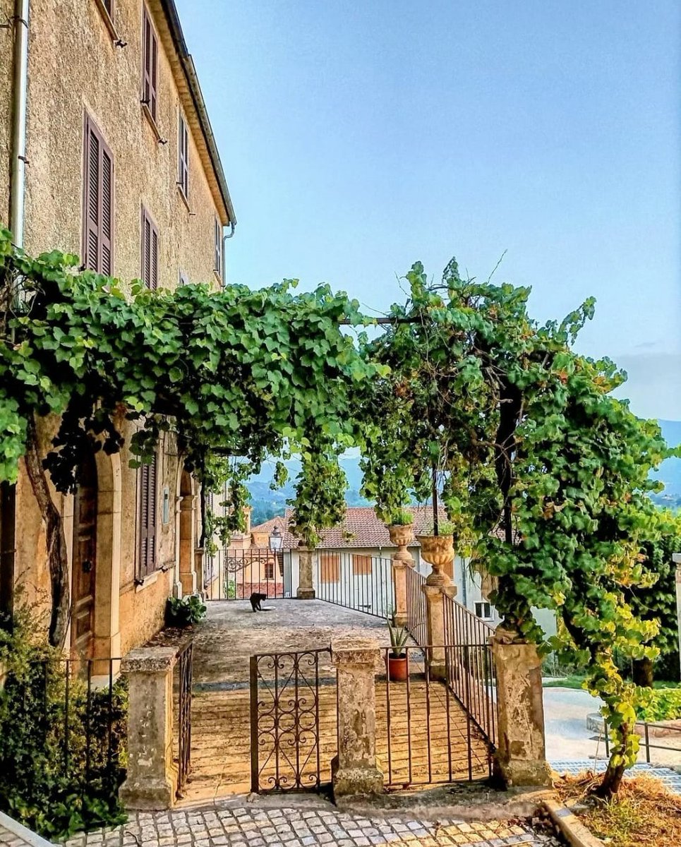 visit_lazio's tweet photo. Benvenuti ad #Alvito, splendida cittadina nella #ValdiComino, sulle pendici del monte Morrone, custode di palazzi storici e del Castello Cantelmo
📸 Ig @martina.ci12
📸 Ig @alfredo_mon66
📸 Ig @znatalias
📸 Ig @radaribka

#Alvito #FaiUnSaltoNelLazio #RiparTIAMOlazio #LazioIsMe https://t.co/o5TZyJlKp0