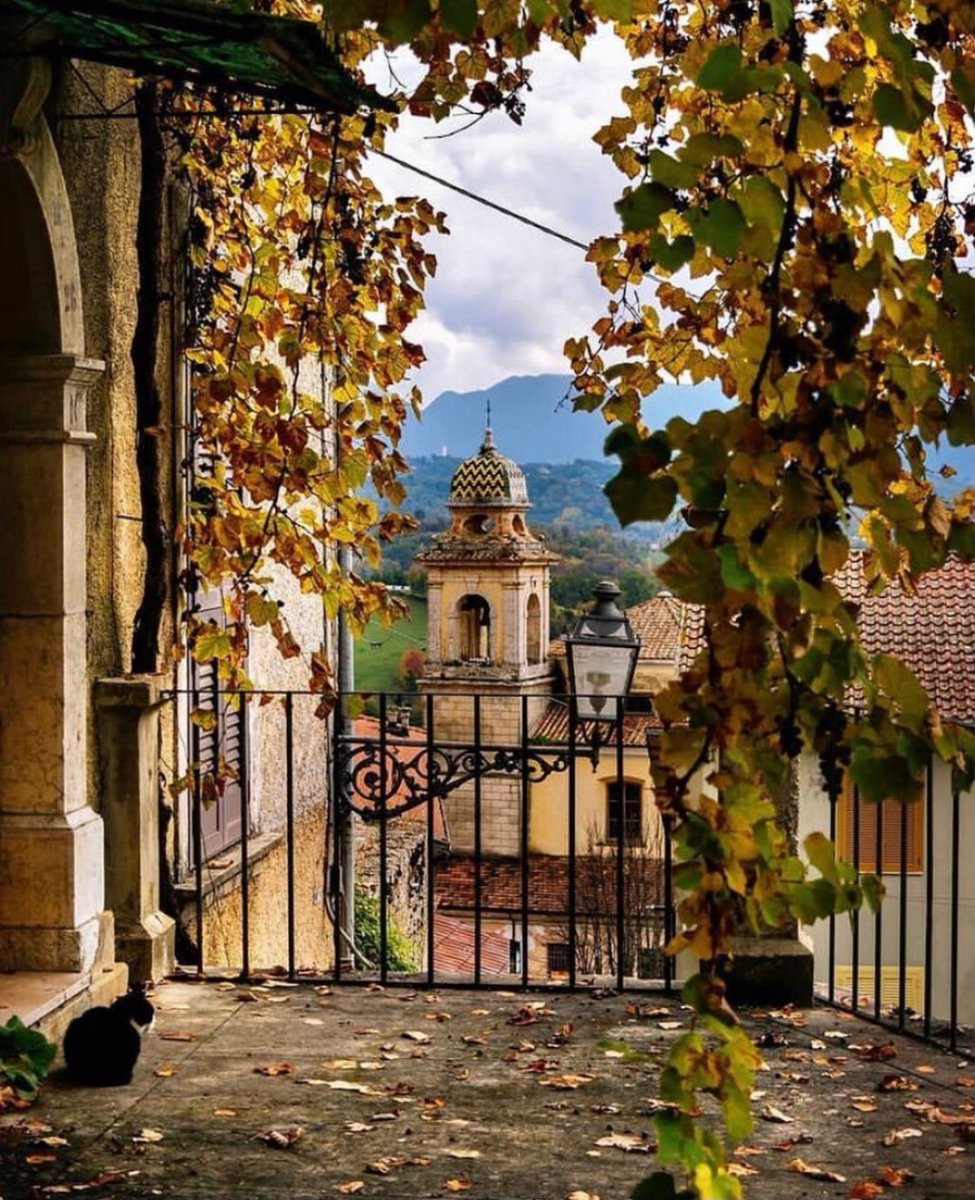 visit_lazio's tweet photo. Benvenuti ad #Alvito, splendida cittadina nella #ValdiComino, sulle pendici del monte Morrone, custode di palazzi storici e del Castello Cantelmo
📸 Ig @martina.ci12
📸 Ig @alfredo_mon66
📸 Ig @znatalias
📸 Ig @radaribka

#Alvito #FaiUnSaltoNelLazio #RiparTIAMOlazio #LazioIsMe https://t.co/o5TZyJlKp0
