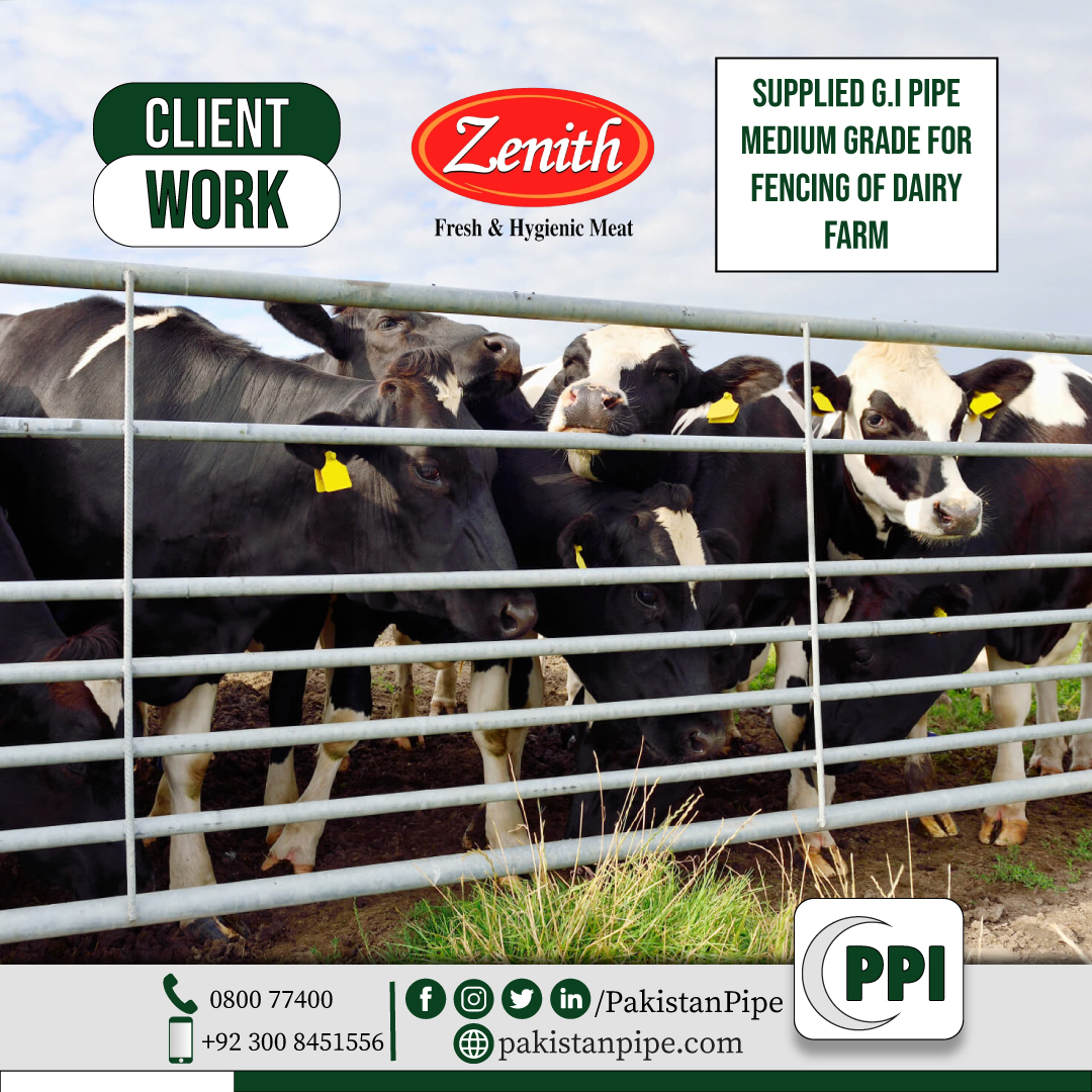 PakistanPipe's tweet photo. Alhamdulillah, another satisfied client. Zenith Meat.
.
.
#GIPipes #DairyFarm
#ZenithMeat #ClientWork
#PakistanPipeIndustries #PPI
#AcuityLinks https://t.co/gnxRvWmseB