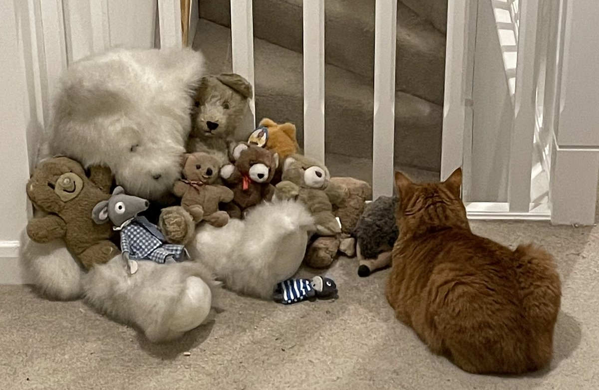 JacK_GingerCat tweet picture