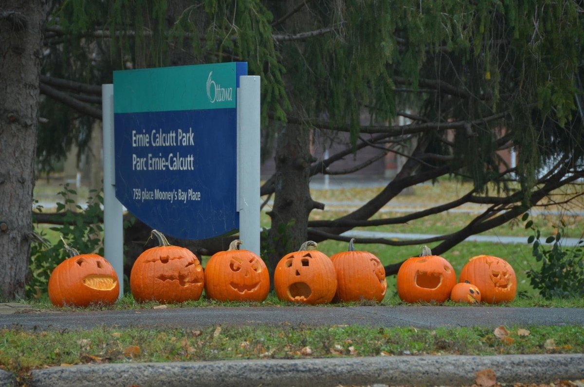 InTownAndOut's tweet photo. Putting your pumpkin to good use after Oct. 31. How @OSEAN_Ottawa is collecting uncarved/unopened pumpkins for @Food4Ottawa to prepare meals, and carved ones to feed local pigs.
Story at 7:45am
https://t.co/pDbAbkCodR https://t.co/BWA7tGLC76