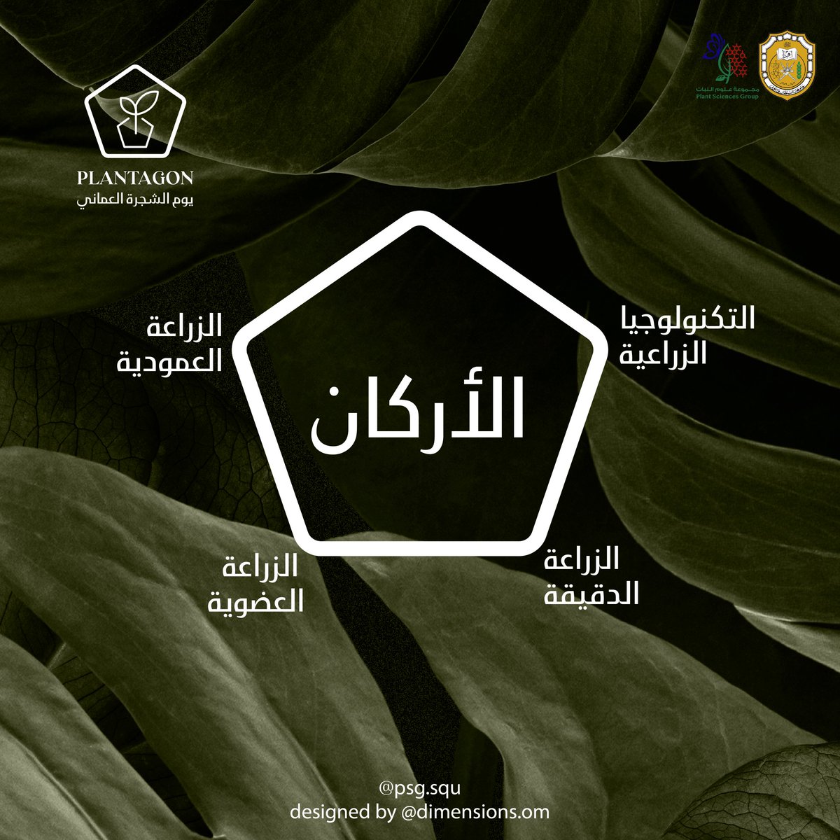 psg_squ's tweet photo. شاركونا في معرض #يوم_الشجرة_العُماني 💚🌱.
🗓 من الأحد إلى الثلاثاء .
📍 الموقع : مدخل كلية العلوم الزراعية و البحرية . https://t.co/H0kBJQVgwh