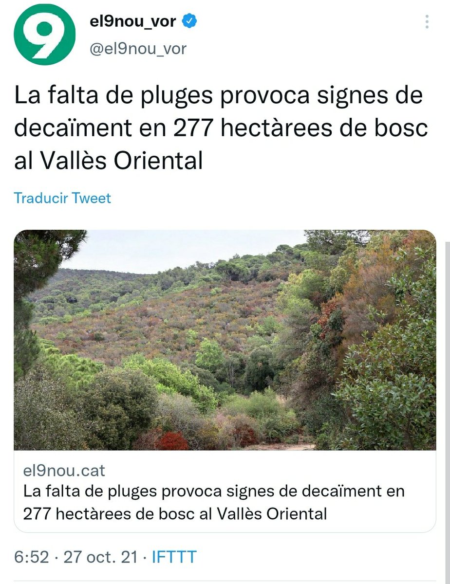 andrealizp's tweet photo. Ho tenim davant dels ulls i ens neguem a veure-ho. https://t.co/KoE6ioy3FT