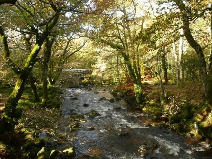 RMorleyTozers's tweet photo. Heading up to the Dewerstone in the glory of autumn 🍁🍂 https://t.co/x7tZNve5Oh