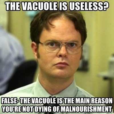 thecelldepot_'s tweet photo. #votecentralvacuole https://t.co/XN3o9lNiI9