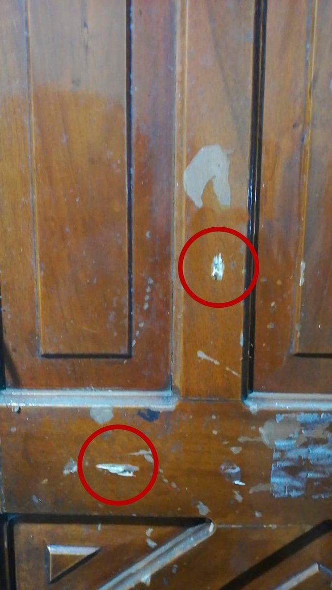 PoliciaEcuador's tweet photo. CERO IMPUNIDAD AL DELITO🚫

Mientras contrarrestábamos las acciones criminales, al allanar inmuebles en Naranjal, #Guayas, uno de los aprehendidos disparó contra servidor policial, mismo que resultó ileso. 

📍Se decomisaron armas de fuego

#ServirYProteger 
#PlanRescateEcuador https://t.co/xO7PKPd2Fu