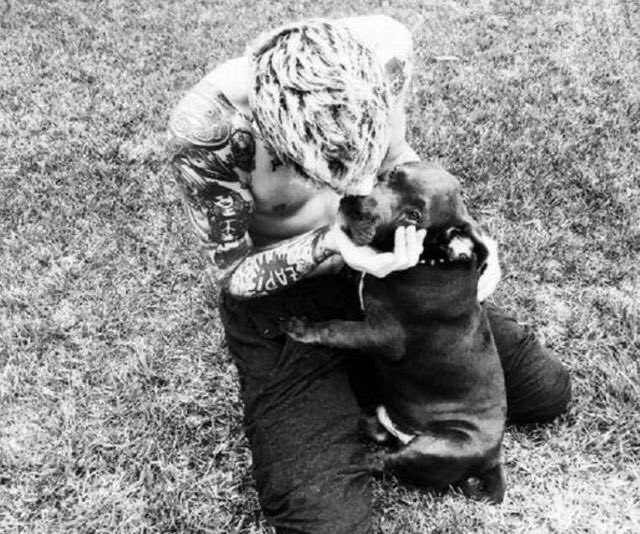 _taysmyoxygen1d's tweet photo. If Gigi doesn’t defend Zayn, I swear, I’m doing a shitload. #WeSupportZayn #WeLoveYouZayn #WeSupportYouZayn 
#IStandWithZayn #WeStandWithZayn https://t.co/H7x9kFruEn