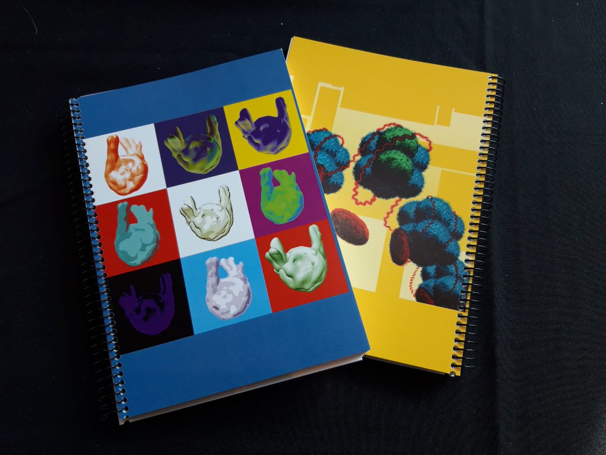 XIXCSEBC's tweet photo. #XIXCSEBC @SEBCellular Grateful to Dr. Benoit Leblanc of the University of Sherbrooke in Canada for kindly allowing us to use the design of the nucleosomes on the notebooks, bags, and T-sheets.  You can follow his Scientific Cartoons on this link: https://t.co/hTrRabspns https://t.co/lO6jWKdnHQ