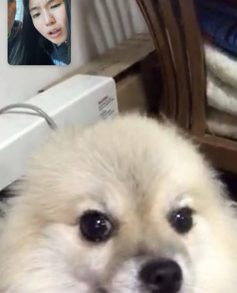 Queen__Snt's tweet photo. น้องน้อยคิดถึงป่ะป๊ากับหม่ามี้แล้วค่ะ🥺
#นิกกี้ก้อย
#นิกกี้ก้อยxUSA https://t.co/6M308wjTPf