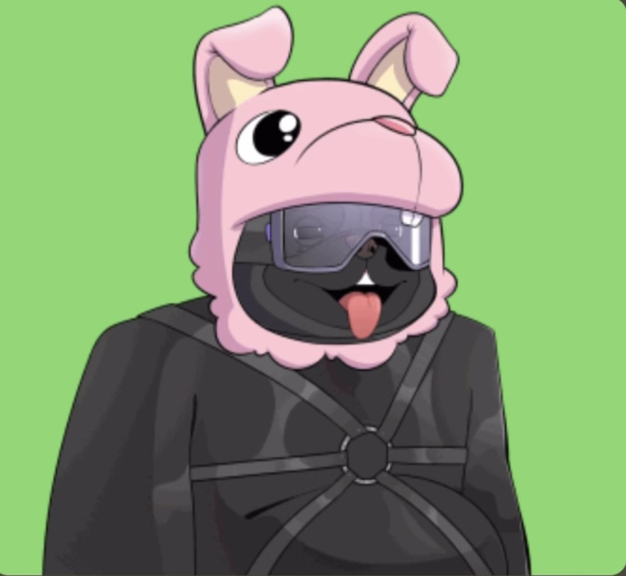wakopake86's tweet photo. @nftreminder Check out the @PugApeSociety! #PugApes #NFTs https://t.co/TGu5ZIlSkG