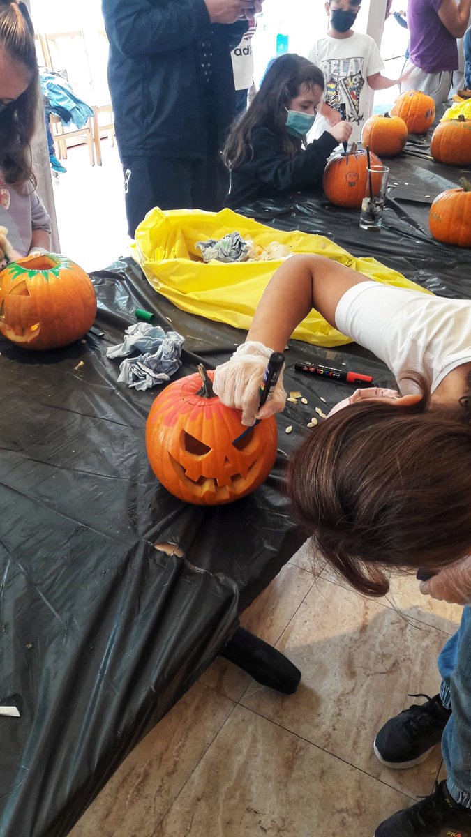 Sol Pelicanos Ocas tweet media