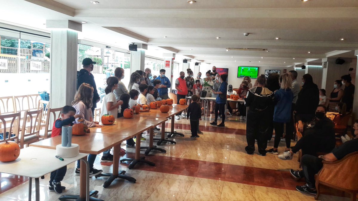 Sol Pelicanos Ocas tweet media