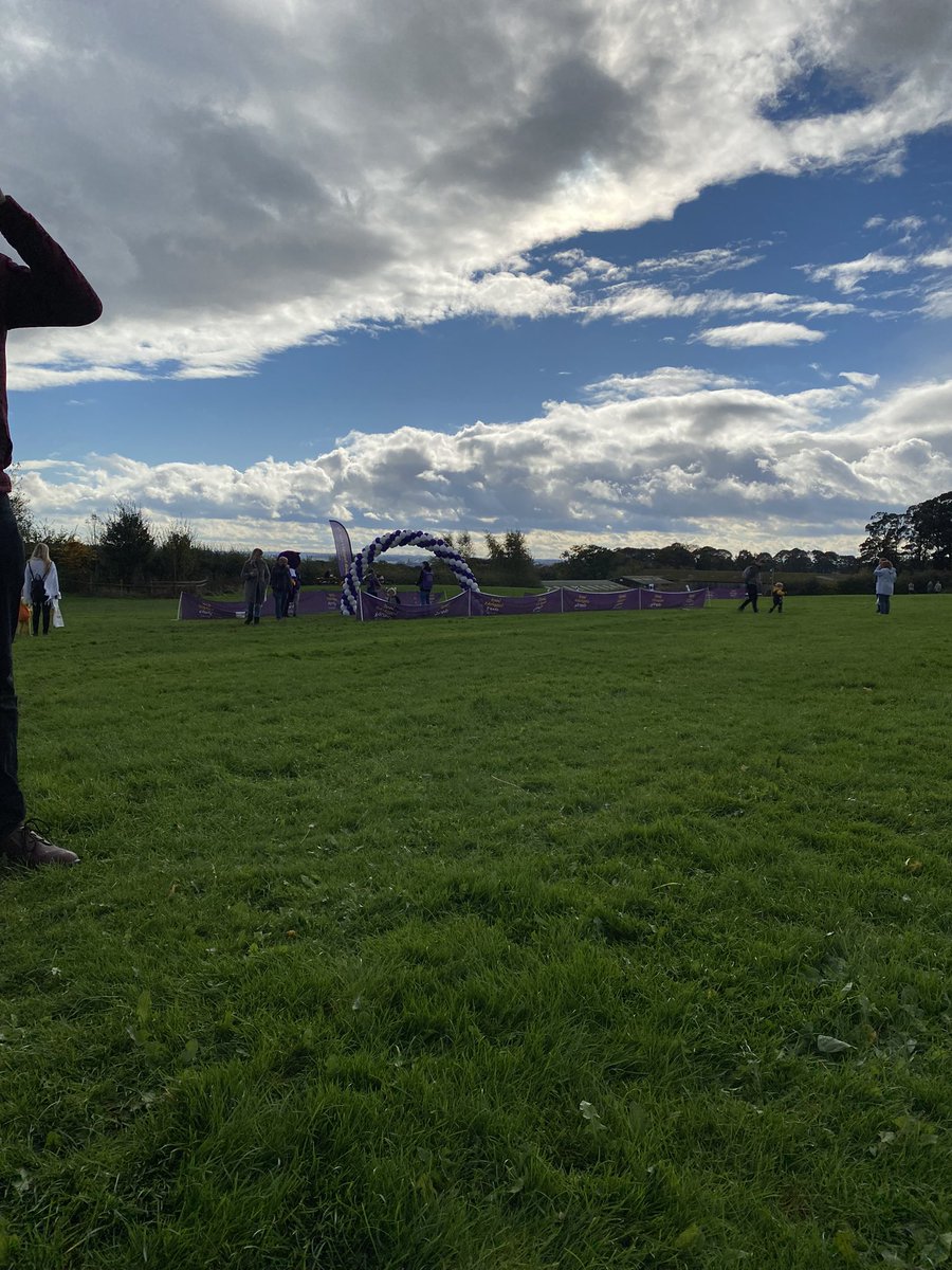 Katie MT tweet media