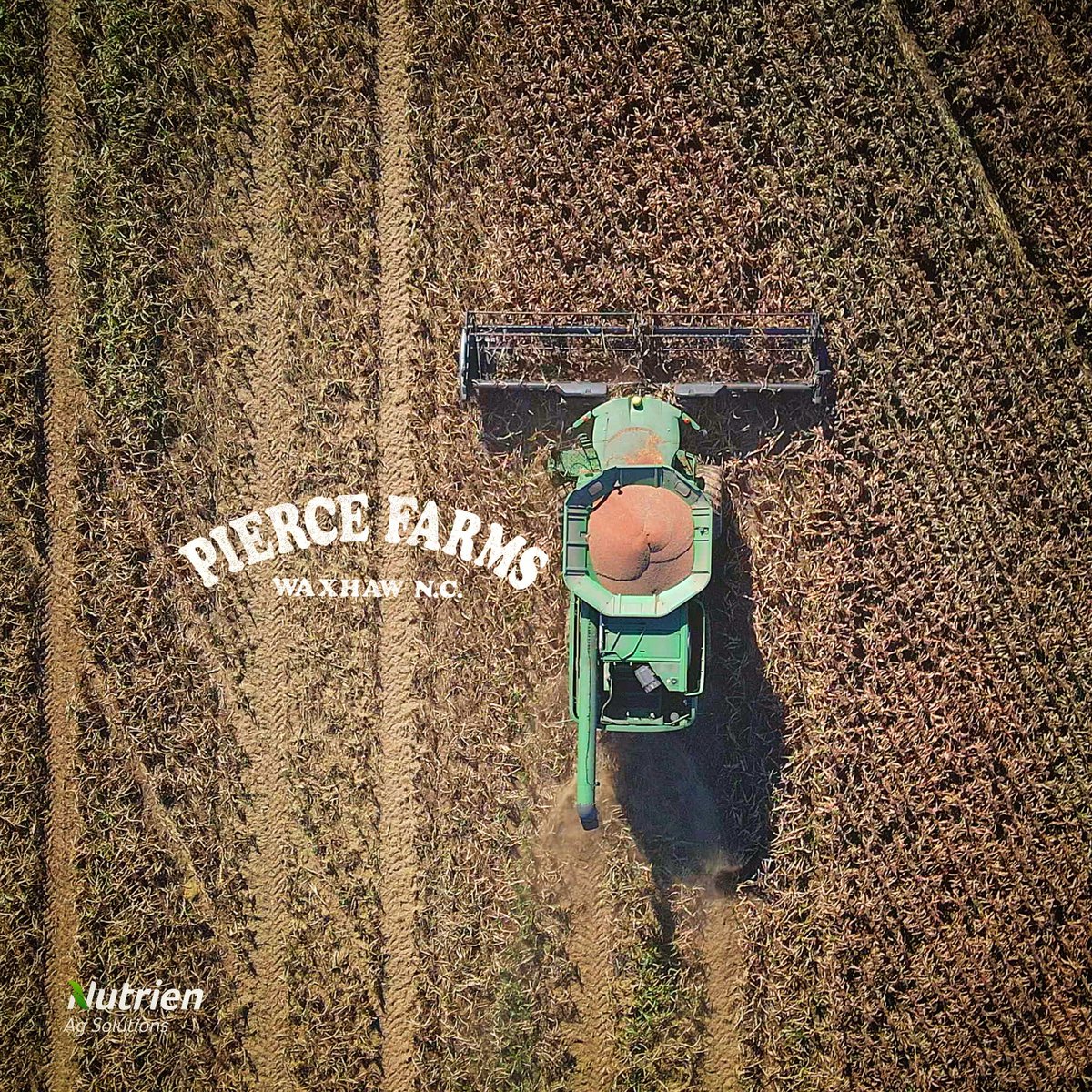 Geoff__Reeves's tweet photo. #Harvestweek Photos: 
Pierce Farms
Randy Threatt Farms  

#harvest2021  #fieldtoyield #leadingthefield https://t.co/e7SlrA6WWV