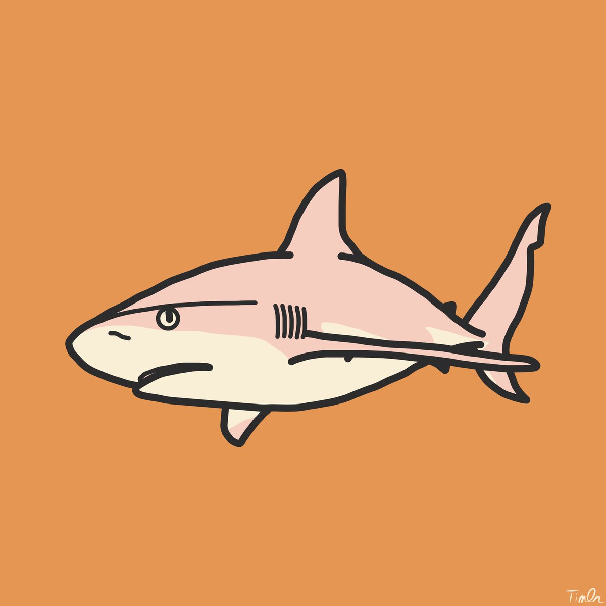 Top Tweets For さめ Twstalker Top Tweets For さめ Twstalker