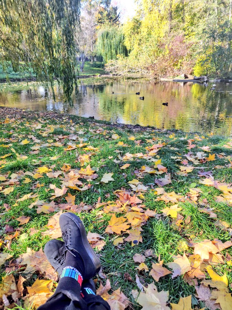 wikidata's tweet image. Don&apos;t forget to take a break! Get outside, breathe some fresh air and show us from where you are attending #WikidataCon. It is a wonderful fall day in Berlin. What does it look like in your area?