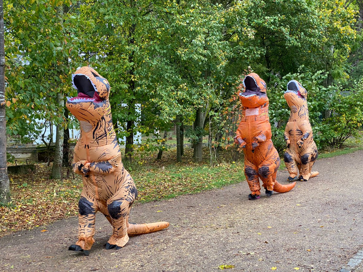 Irchester Country parkrun tweet media