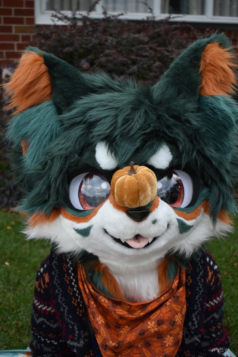 Woodstock 🍂🎃 tweet media