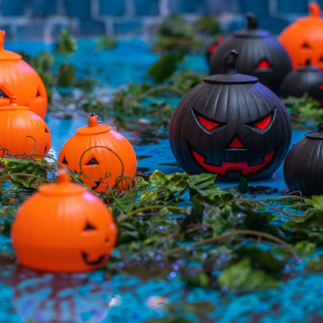 CSIomaha's tweet image. Prepare your pool for your Halloween party. 
-Grab some cheap plastic pumpkin buckets
-Place tea lights in the pumpkins and turn them on
-Set them afloat in your pool for a spooky scene 

#ingroundpoolinstallation #omahadesign #pooldesign #custompool #Omahapoolbuilder #ingrou...