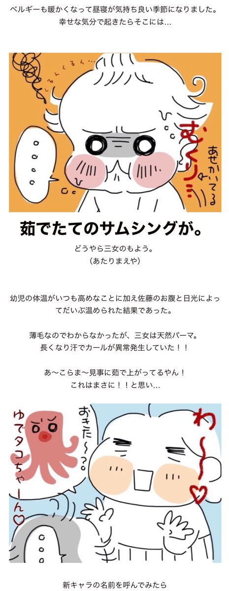 のろわれしタコの大逆襲

https://t.co/BcdPuVX0pO

#過去記事紹介 #フランダースの三姉妹
#三女 #2歳 