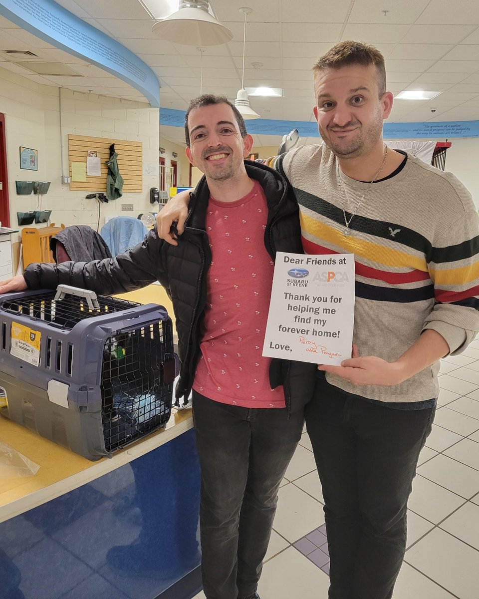 It's Caturday! Percy the kitten went home this week during the Subaru Loves Pets Adoption Event! Yay, Percy! The SLP Adoption Event ends tomorrow (Sun.), so if you're thinking of adopting a furry family member - check out our website today! We're open tomorrow from noon to 3 pm.