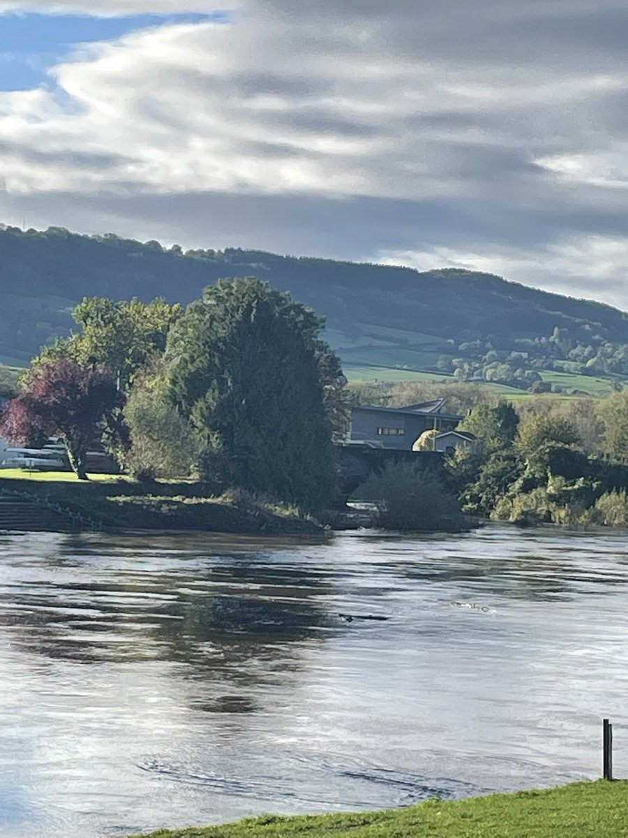 optomhelen's tweet photo. Spent the morning moving ergs upstairs - looks like we have another winter of floods as the river rises and trees come down . Thank goodness for @ErgosZoom and @jonnysearle2 great start to a Saturday https://t.co/SwIwxTwQxC